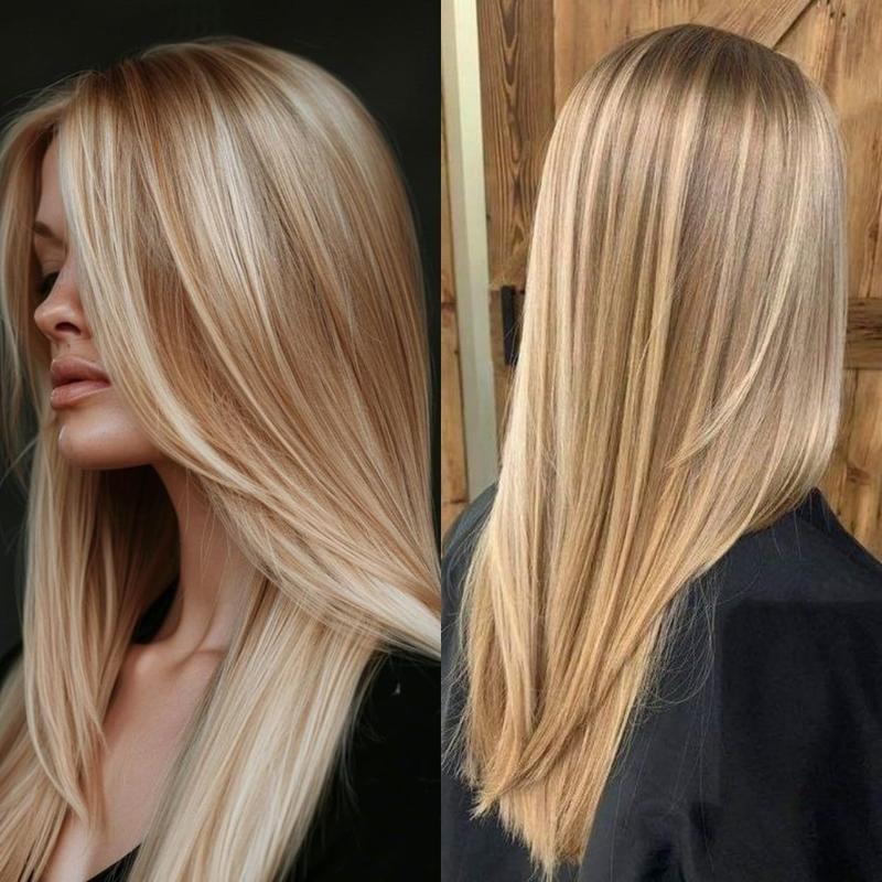 Blonde with Brown Highlights Lace Front Wig Straight for Women Highlight Brown Synthetic Lace Wigs Pre Plucked Hairline Glueless Wig Natural Straight Synthetic Lace Frontal Wig 26 inch
